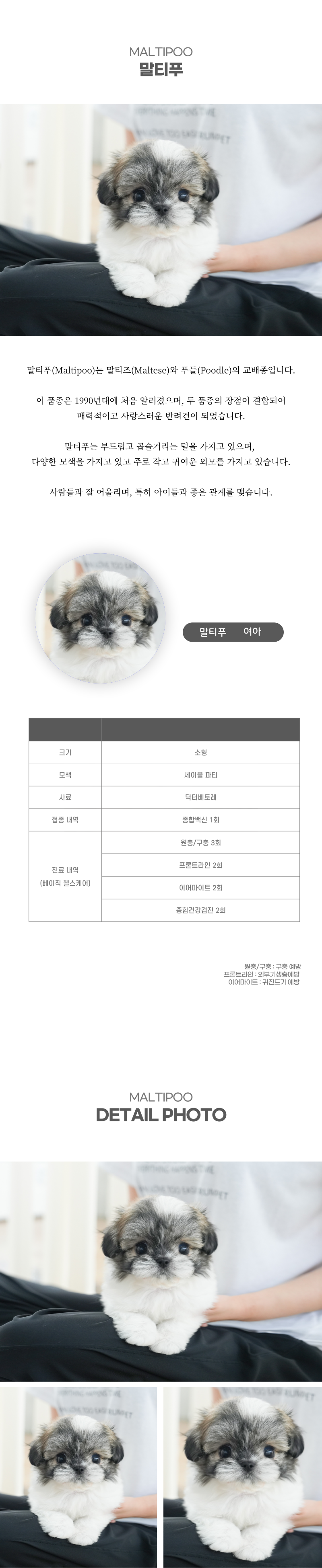 말티푸_상세이미지_2